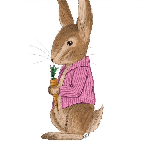 Peter-Rabbit-Pink