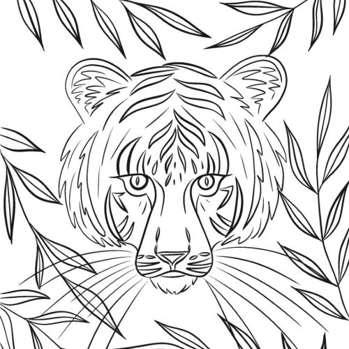 Tiger Coloring Sheet, Main