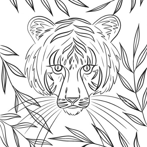 Tiger-Coloring-Sheet